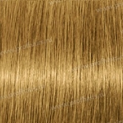 Kydra Nature  8.30 Radiant Light Golden Blonde, 60 