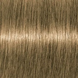 Lebel Materia B8   80 .