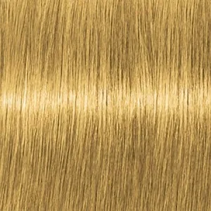 Lebel Materia G10   80 .