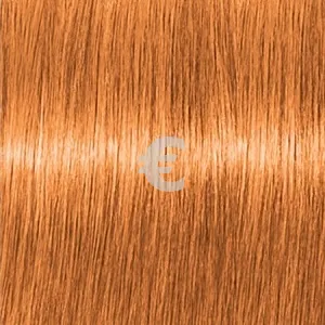 Lebel Materia Make - Up Line    MO  80 .