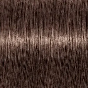 Loreal   ODS    6.23, 60 .