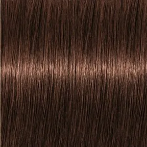 Revlonissimo Colorsmetique 6DN,     60 
