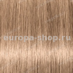 Matrix Socolor beauty 10NW       90 