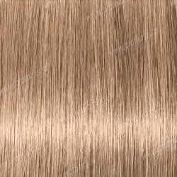 Matrix Socolor beauty 10NW       90 