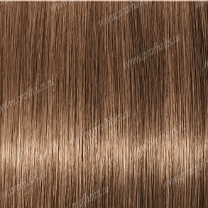 Revlonissimo Colorsmetique 7 SN   ,   60 