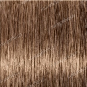 Revlon Professional Revlonissimo Colorsmetique 8DN,     60 
