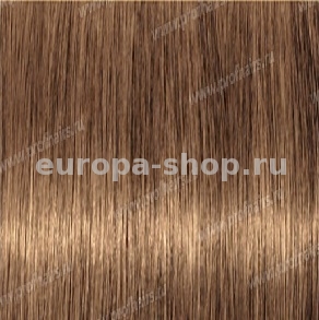 Revlonissimo NMT 8.3   ,    60 