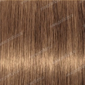 Revlonissimo NMT 8.3   ,    60 