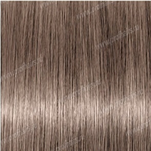 Revlon Professional Revlonissimo Colorsmetique 8.2   ,    60 