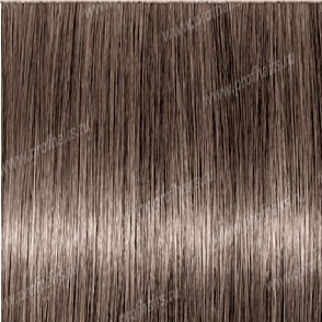 Revlon Professional Revlonissimo Colorsmetique 7.01   ,   -  60 