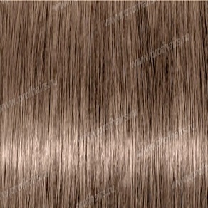 Revlon Professional Revlonissimo Colorsmetique 8.01   ,   - 60 