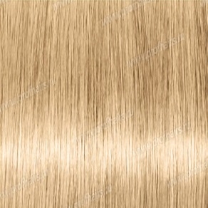 Revlonissimo NMT 10.31   ,     60 