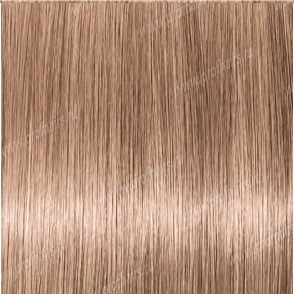 Revlon Professional Revlonissimo Colorsmetique 9.23    - 60 