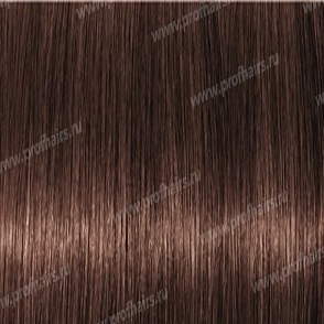 Revlon Professional Revlonissimo Colorsmetique 5.41 -  60 