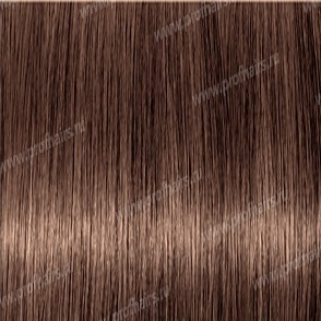 Revlonissimo NMT 6.24   ,    60 