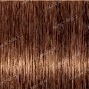 Revlon Professional Revlonissimo Colorsmetique 6.34   ,   - 60 