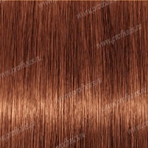 Revlon Professional Revlonissimo Colorsmetique 7.43,  - 60 