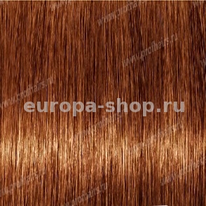 Revlon Professional Revlonissimo Colorsmetique 8.4    60 
