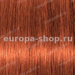 Lebel Materia 3D    O-8    80 .