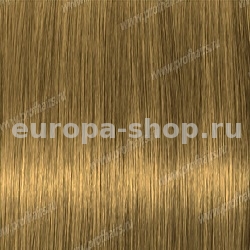 Lebel Materia 3D    G-6    80 .