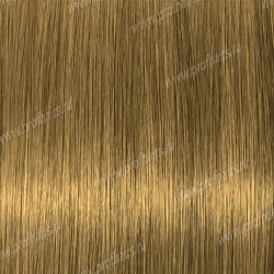 Lebel Materia 3D    G-6    80 .