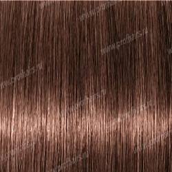 LEBEL LUQUIAS - WB|M    150 .