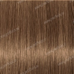 LEBEL LUQUIAS - WB|P   150 .