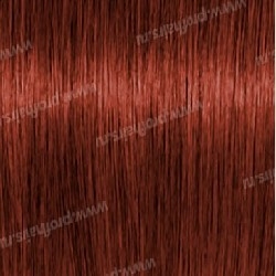 LEBEL LUQUIAS - K|L    150 .