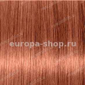 Revlon Professional Revlonissimo Colorsmetique 8.04   - 60 
