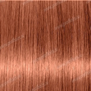 Revlon Professional Revlonissimo Colorsmetique 8.04   - 60 