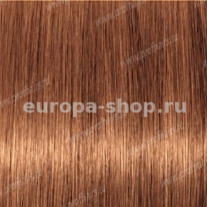 Revlonissimo NMT 8.34   ,   - 60 