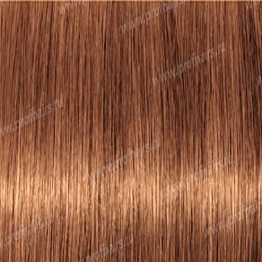 Revlonissimo NMT 8.34   ,   - 60 