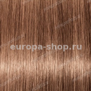 Revlon Professional Revlonissimo Colorsmetique 8.24,     60 