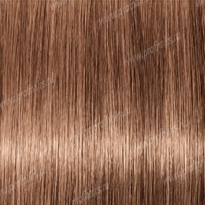 Revlon Professional Revlonissimo Colorsmetique 8.24,     60 