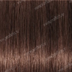 Young Color Excel 5.41  70 