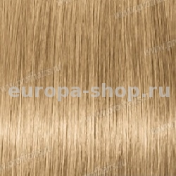 Kydra reme  9.13 Blond Tres Clair Cendre Dore, 60 