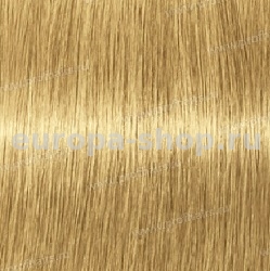Kydra reme  9.3 Blond Tres Clair Dore, 60 