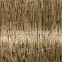 Kydra reme  8.31 Blond Clair Dore Cendre, 60 