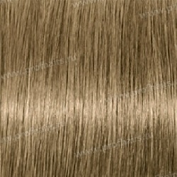 Kydra reme  8.31 Blond Clair Dore Cendre, 60 