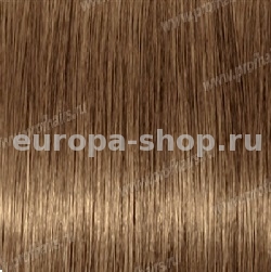 Kydra reme  7.3 Blond Dore, 60 
