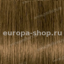Kydra reme  7.31 Blond Dore Cendre, 60 