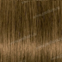 Kydra reme  7.31 Blond Dore Cendre, 60 