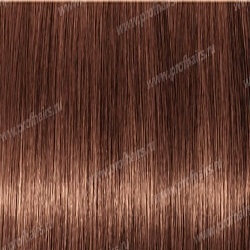 Kydra reme  6.35 Blond Fonce Dore Acajou, 60 