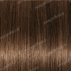 Kydra reme  4.3 Chatain Dore, 60 