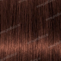 Kydra reme  5.4 Chatain Clair Cuivre, 60 