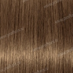 Kydra reme  7.73 Blond Marron Dore, 60 