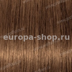 Kydra reme  7.7 Blond Marron, 60 