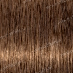 Kydra reme  7.7 Blond Marron, 60 