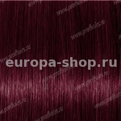 Kydra Softing  0.62 Red Plum  , 60 
