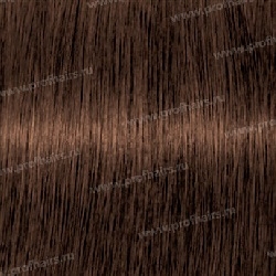 Kydra Softing  0.74 Cooper Chestnut  , 60 